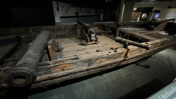 Model Image